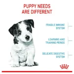 Royal Canin Mini Puppy Dry Dog Food Royal Canin - Image 4