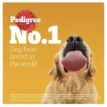 Pedigree Chicken & Vegetables Dog Food - Image 7