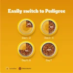 Pedigree Chicken & Milk Dry Dog Food - All Breed Puppy - Image 6