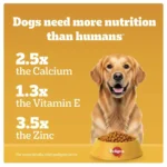 Pedigree Chicken & Vegetables Dog Food - Image 6